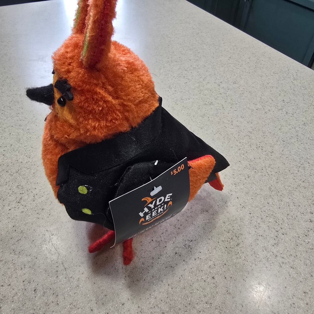 CLAWSON Hyde & Eek Halloween Bird Vampire Orange Black Cape Target 2019 NWT - Picture 3 of 11